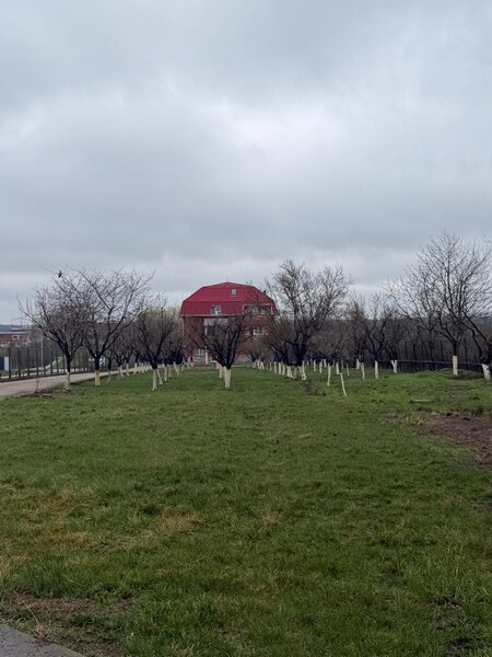 Caminul Adina, Pipera, Otopeni, Snagov.
